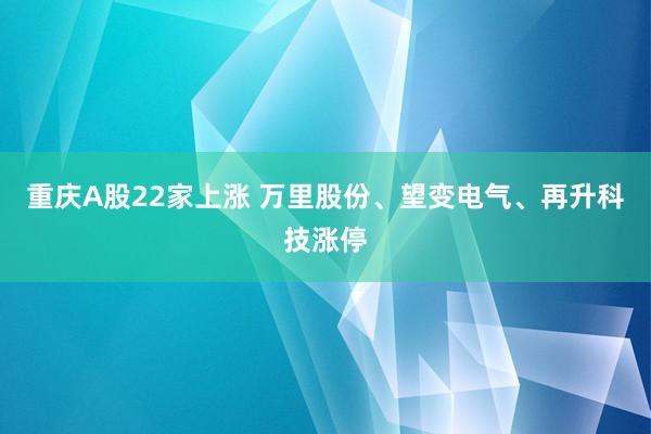 重庆A股22家上涨 万里股份、望变电气、再升科技涨停